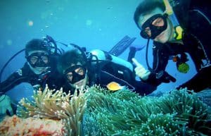 Australia - Great Barrier Reef Conservation