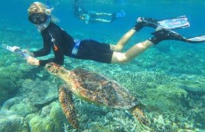 Australia - Great Barrier Reef Conservation8