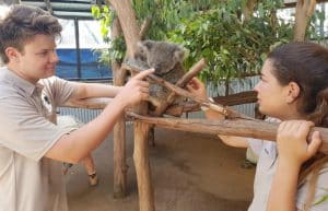 Australia - Port Stephens Wildlife Park12