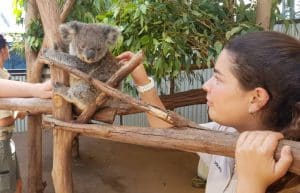 Australia - Port Stephens Wildlife Park2