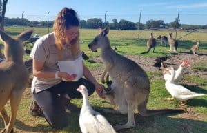 Australia - Port Stephens Wildlife Park26