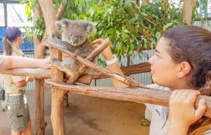 Australia - Port Stephens Wildlife Park29