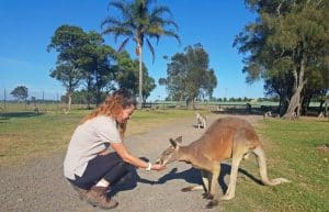 Australia - Port Stephens Wildlife Park3