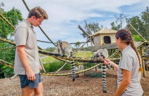 Australia - Port Stephens Wildlife Park5