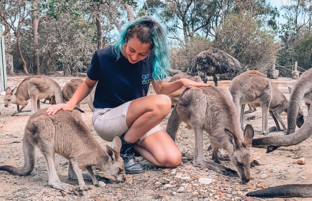 Australia - Wildlife Animal Sanctuary2