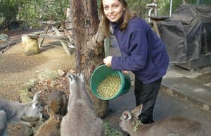 Australia - Wildlife Animal Sanctuary23