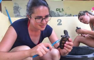 Bali - Bali Sea Turtle Rescue14