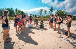 Bali - Bali Sea Turtle Rescue9