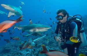 Belize - Private Island Marine Experience17