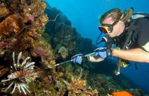 Belize - Private Island Marine Experience33