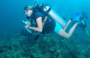 Belize - Private Island Marine Experience40