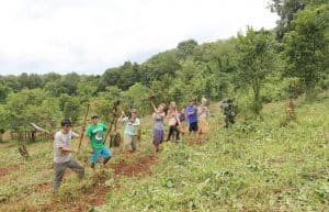 Cambodia - Elephant Sanctuary & Forest Conservation12