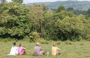 Cambodia - Elephant Sanctuary & Forest Conservation8