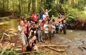 Cambodia - Elephant Sanctuary & Forest Conservation9