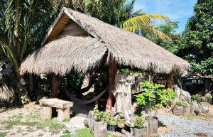 Cambodia - Temple Preservation - Accommodations4