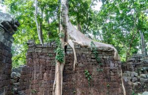 Cambodia - Temple Preservation9