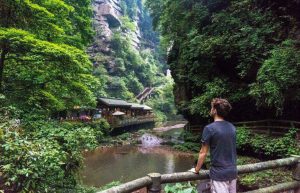 China - Giant Panda Center6