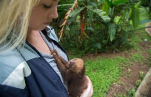 Costa Rica - Animal Rescue and Conservation10