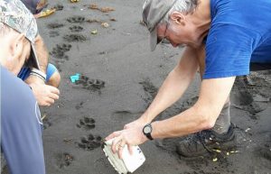 Costa Rica - Jaguar Research and Conservation8