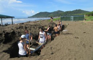 Costa Rica - Sea Turtle Conservation31