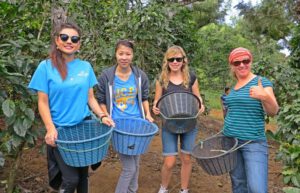 Costa Rica - Sustainable Organic Coffee Farming2