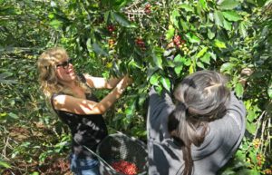 Costa Rica - Sustainable Organic Coffee Farming4