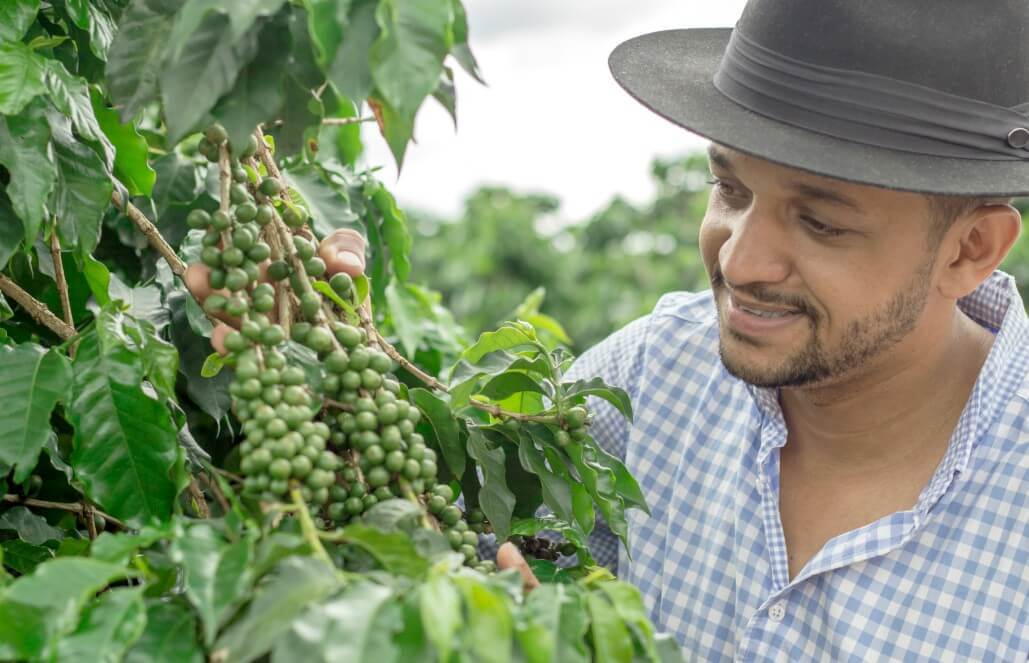 Costa Rica - Sustainable Organic Coffee Farming6