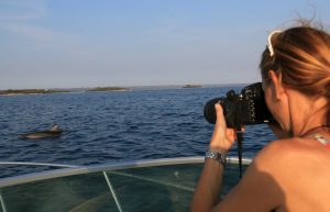 Croatia - Bottlenose Dolphin Conservation19