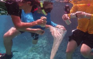 Cuba - Island Seaside Conservation17