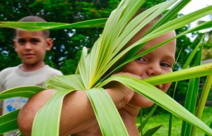 Cuba - Island Seaside Conservation21