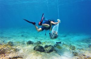 Cuba - Island Seaside Conservation4