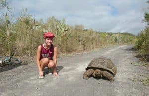 Ecuador - Giant Tortoise and Sea Turtle Conservation in the Galápagos30