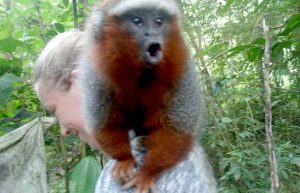 Ecuador - Rainforest Monkey Sanctuary5