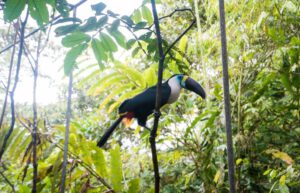 Ecuador - Wild Animal Rescue Shelter14