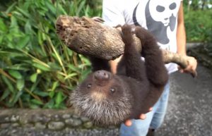 Ecuador - Wild Animal Rescue Shelter20