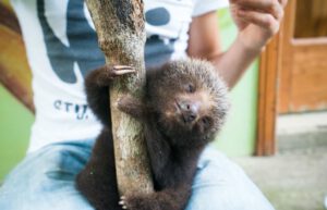 Ecuador - Wild Animal Rescue Shelter28