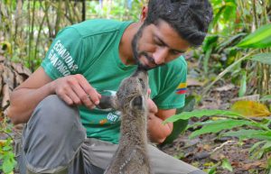 Ecuador - Wild Animal Rescue Shelter3