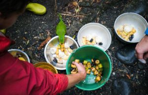 Ecuador - Wild Animal Rescue Shelter9