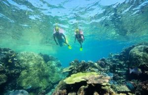 Fiji - Diving and Marine Conservation Expedition7