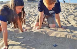 Greece - Family-Friendly Mediterranean Sea Turtle Conservation3