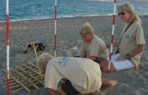 Greece - Mediterranean Sea Turtle Conservation6