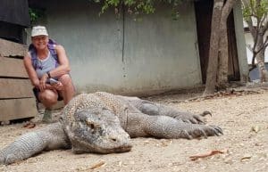 Indonesia - Komodo Dragon Conservation3