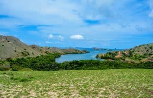 Indonesia - Komodo Dragon Conservation4