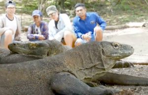 Indonesia - Komodo Dragon Conservation5