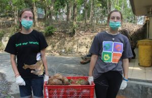 Indonesia - Orangutan and Wildlife Rescue Center17