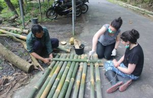 Indonesia - Orangutan and Wildlife Rescue Center26