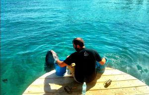 Israel - Coral Reef Conservation14