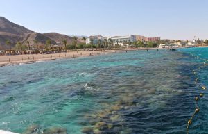 Israel - Coral Reef Conservation31