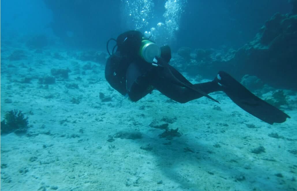 Israel - Coral Reef Conservation9