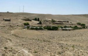 Israel - Desert Alpaca Farm20